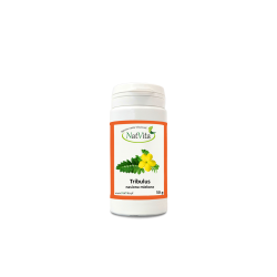 Tribulus Terrestris nasiona mielone