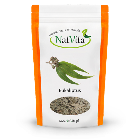 Eukaliptus liście pocięte Eucalyptus globulus 50g 100g cena sklep
