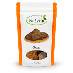 Chaga, guz brzozy kawałki