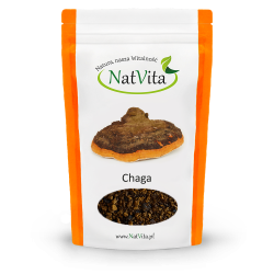 Chaga, guz brzozy rozdrobniony