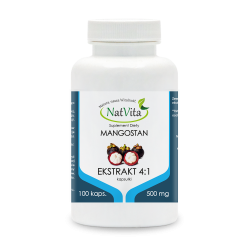 Mangostan owoc ekstrakt 4:1 kapsułki 500mg