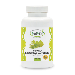 Ginkgo Kapsułki miłorząb japoński Ginkgo Biloba cena sklep w tabletkach