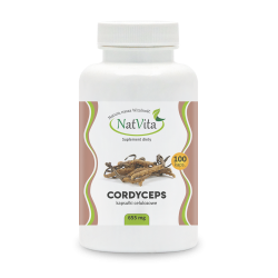 Cordyceps Grzyb Cordyceps sinensis Maczuźnik Kordyceps Chiński Kapsułki 100k cena sklep