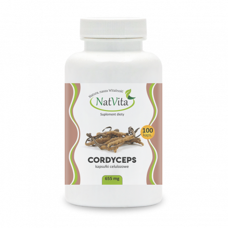 Cordyceps Grzyb Cordyceps sinensis Maczuźnik Kordyceps Chiński Kapsułki 100k cena sklep Cordyceps Grzyb Cordyceps sinensis Maczuźnik Kordyceps Chiński Kapsułki 100k cena sklep