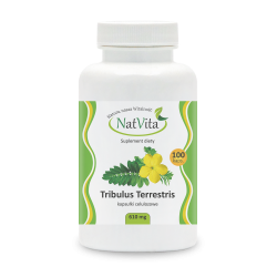 Tribulus Terrestris kapsułki 610mg