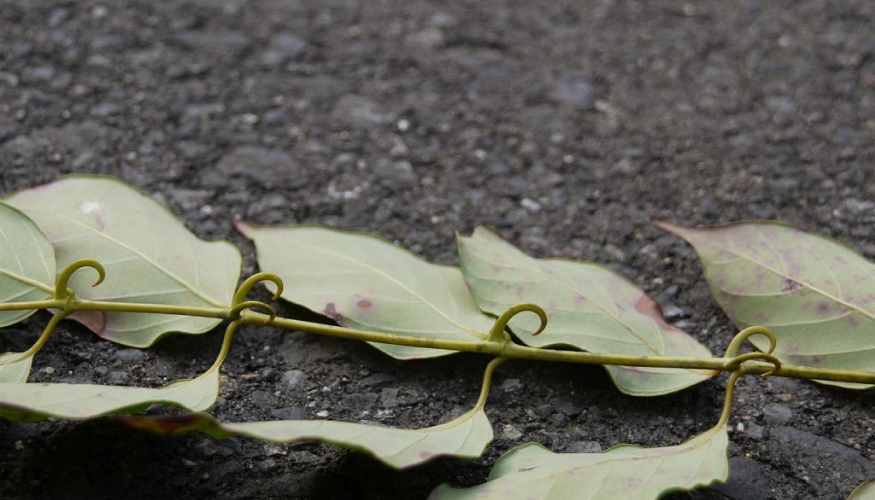 Blog